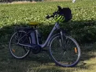 Vélo à Assistance Electrique