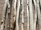 1 fagot de branches en bois flotté rectilignes